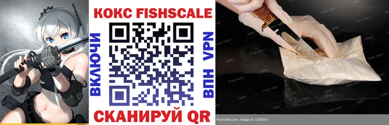 Cocaine Fish Scale  цена   kraken ССЫЛКА  Ишим 