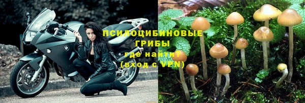 крисы Пересвет