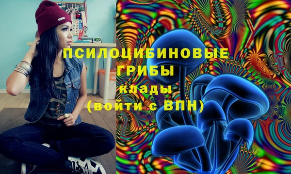 мет Алексеевка