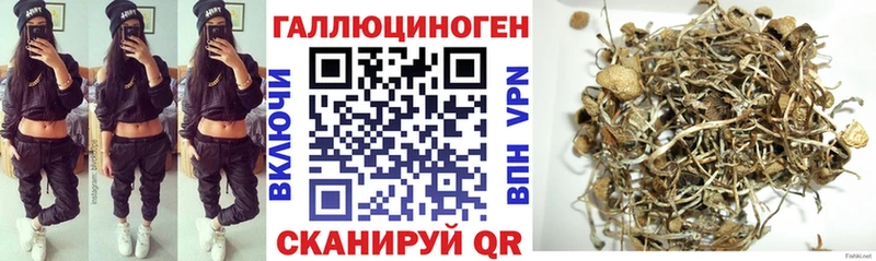Псилоцибиновые грибы мицелий KRAKEN онион Ишим