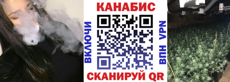 Каннабис Bruce Banner Ишим